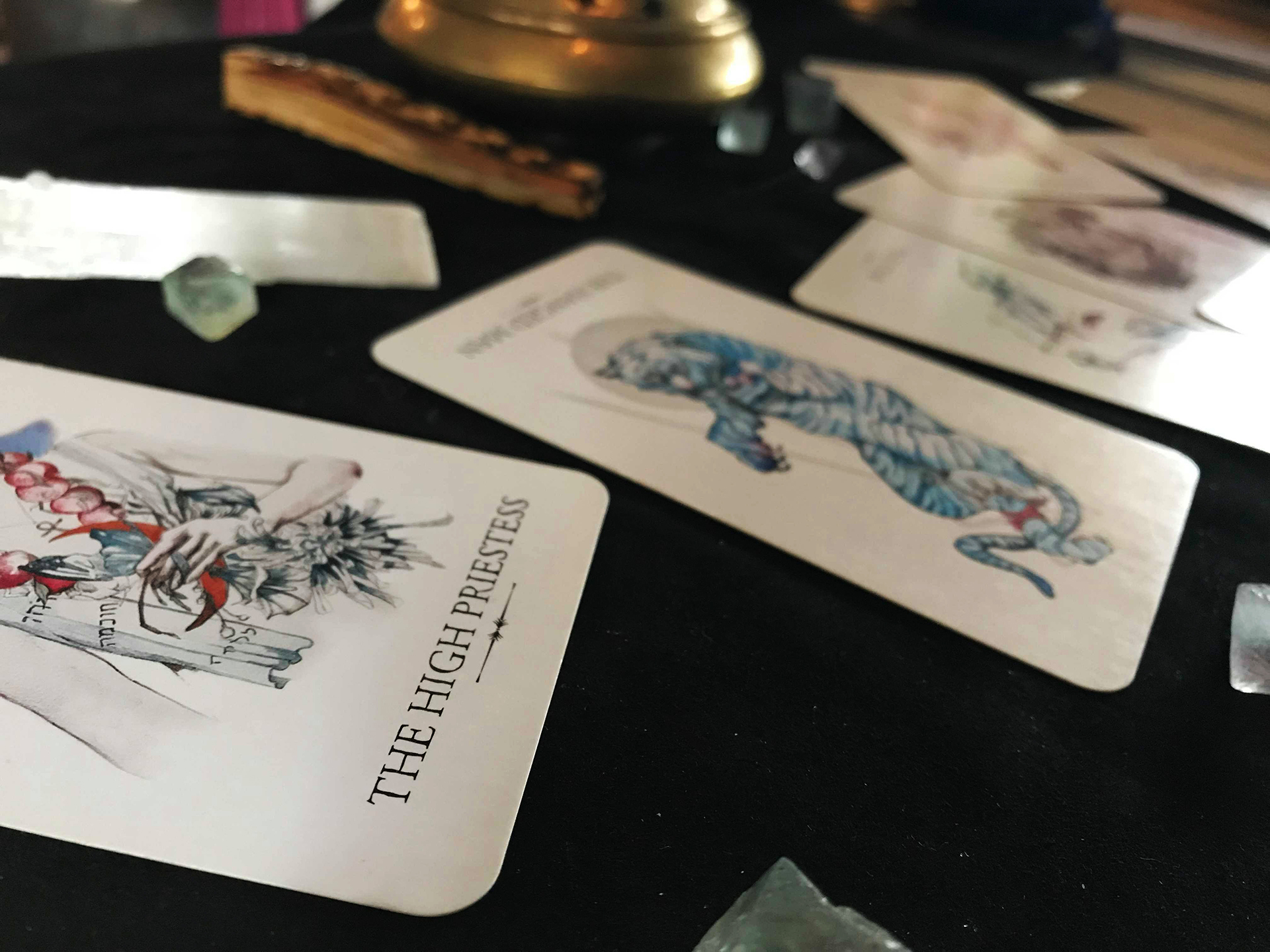 tarot card cleansing the house of twigs thot